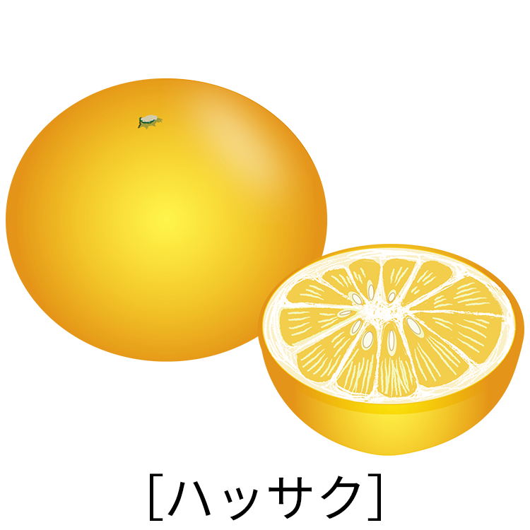 大阪国際がんセンター